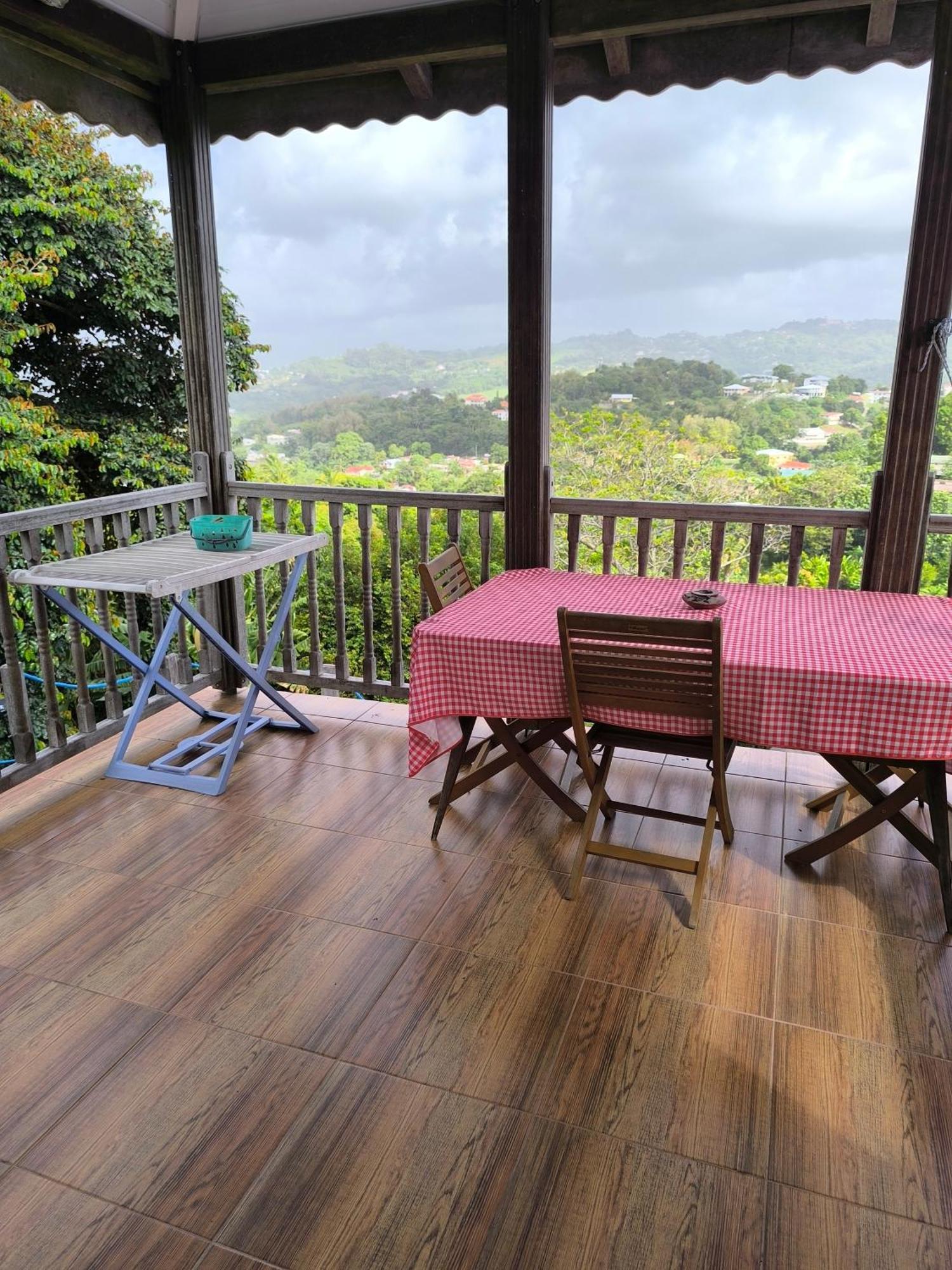 Studio Brazilia Bois Et Nature, Terrasse Avec Vue Sur Les Pitons Le Robert Luaran gambar