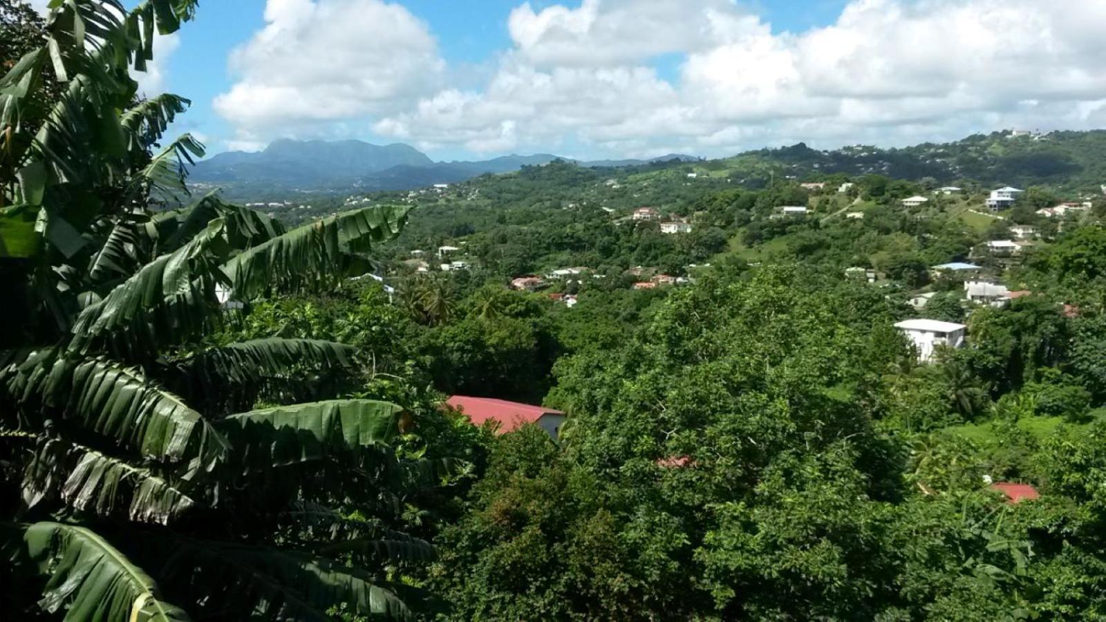 Studio Brazilia Bois Et Nature, Terrasse Avec Vue Sur Les Pitons Le Robert Luaran gambar
